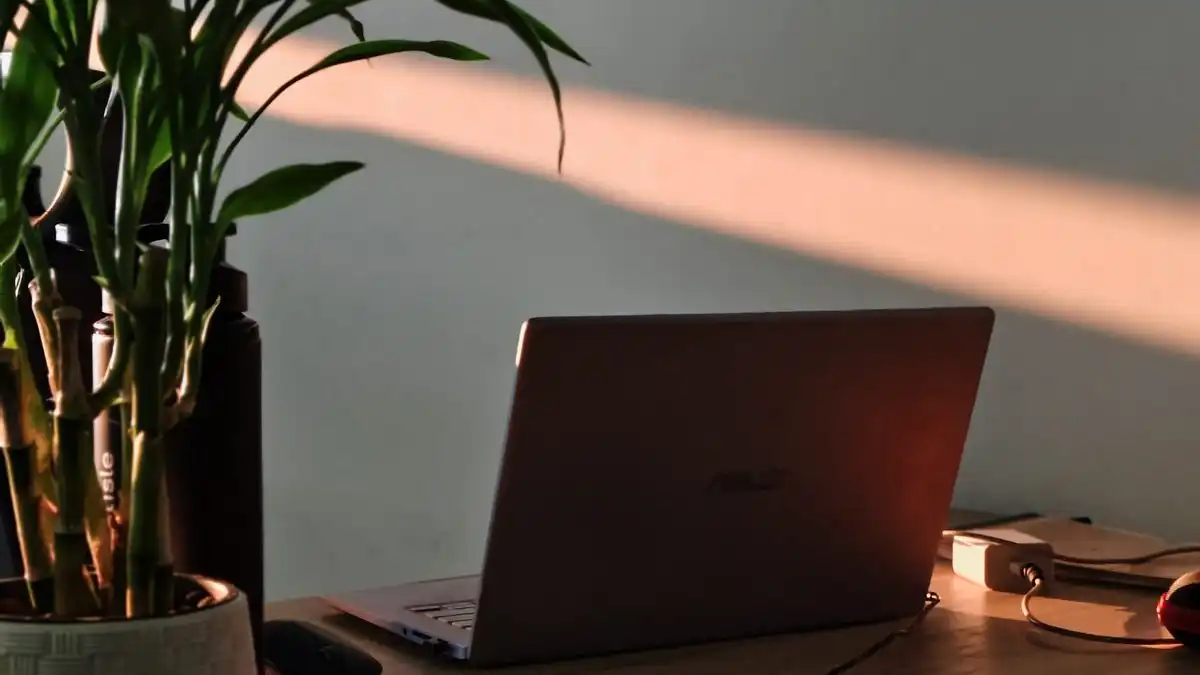 A laptop on a wooden desk beside a potted plant, with a band of evening sunlight on the wall.