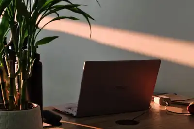A laptop on a wooden desk beside a potted plant, with a band of evening sunlight on the wall.