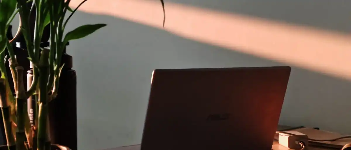 A laptop on a wooden desk beside a potted plant, with a band of evening sunlight on the wall.