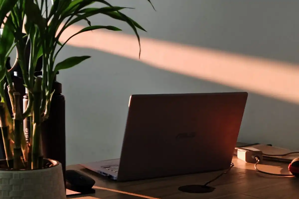 A laptop on a wooden desk beside a potted plant, with a band of evening sunlight on the wall.