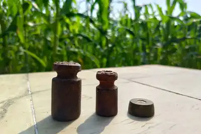Three old iron scale weights in a row on a white table, with tall maize behind.